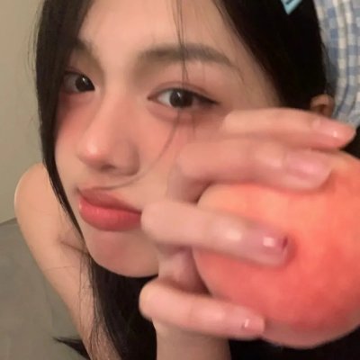 挪威的抵抗