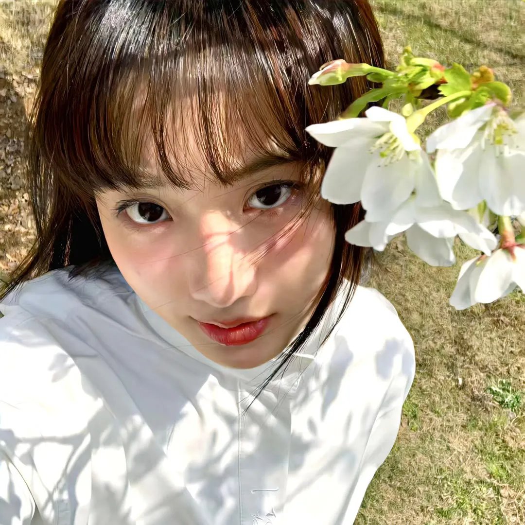 戈戈